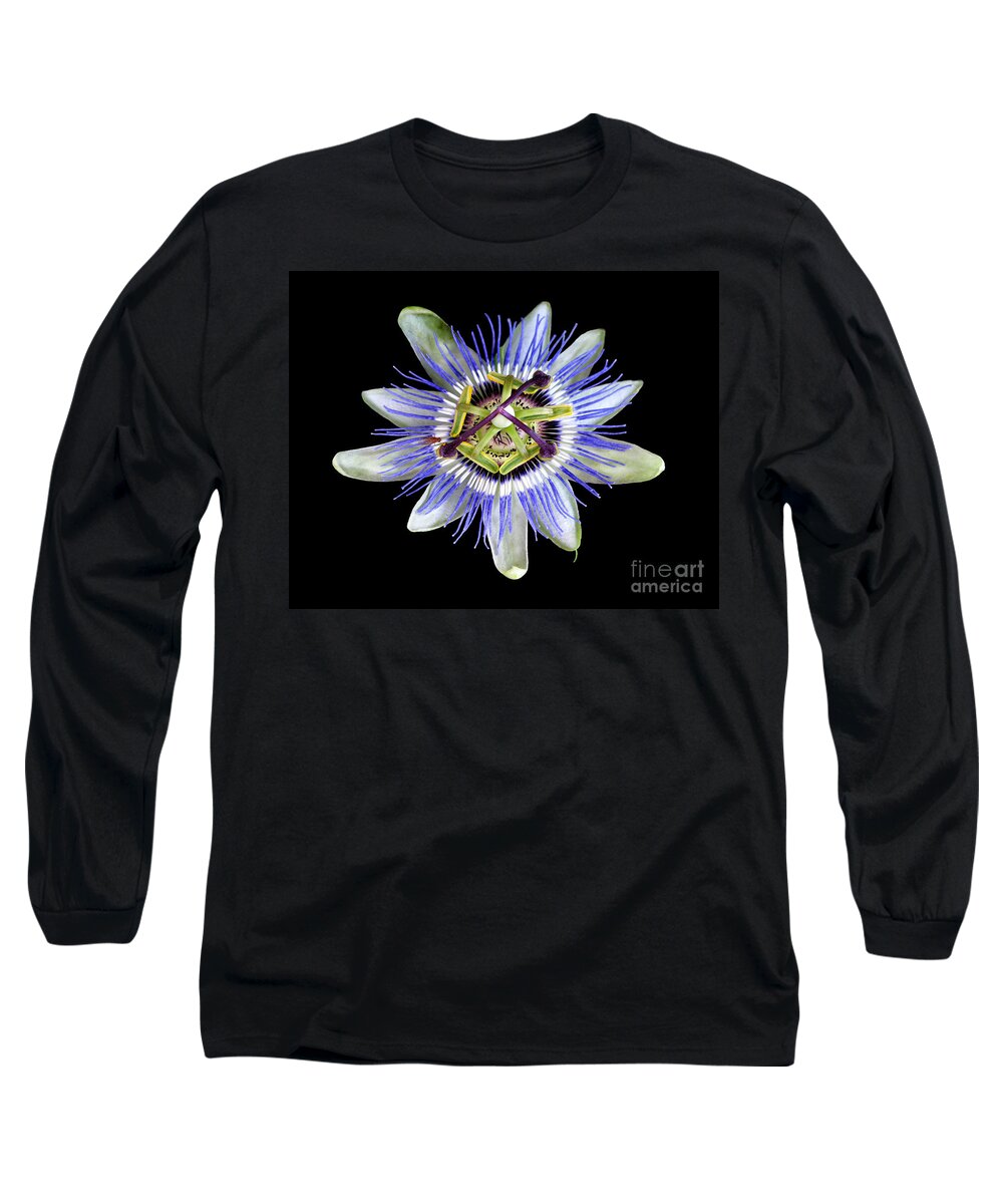 Passion Flower Long Sleeve T-Shirt featuring the photograph Fly's Passion by Jennie Breeze