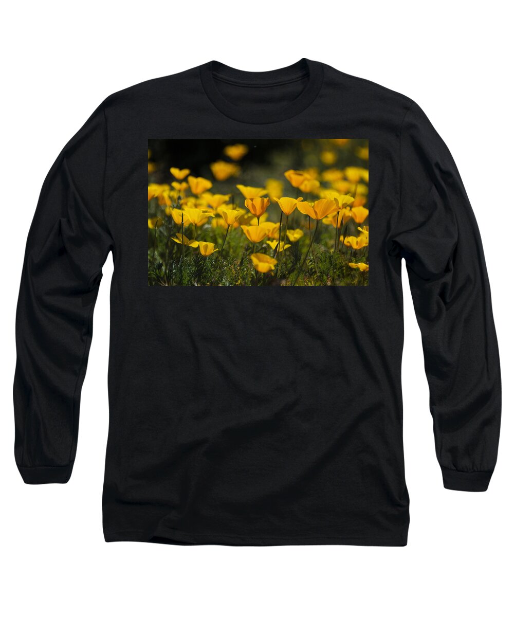 Poppies Long Sleeve T-Shirt featuring the photograph Springtime Poppies #2 by Saija Lehtonen