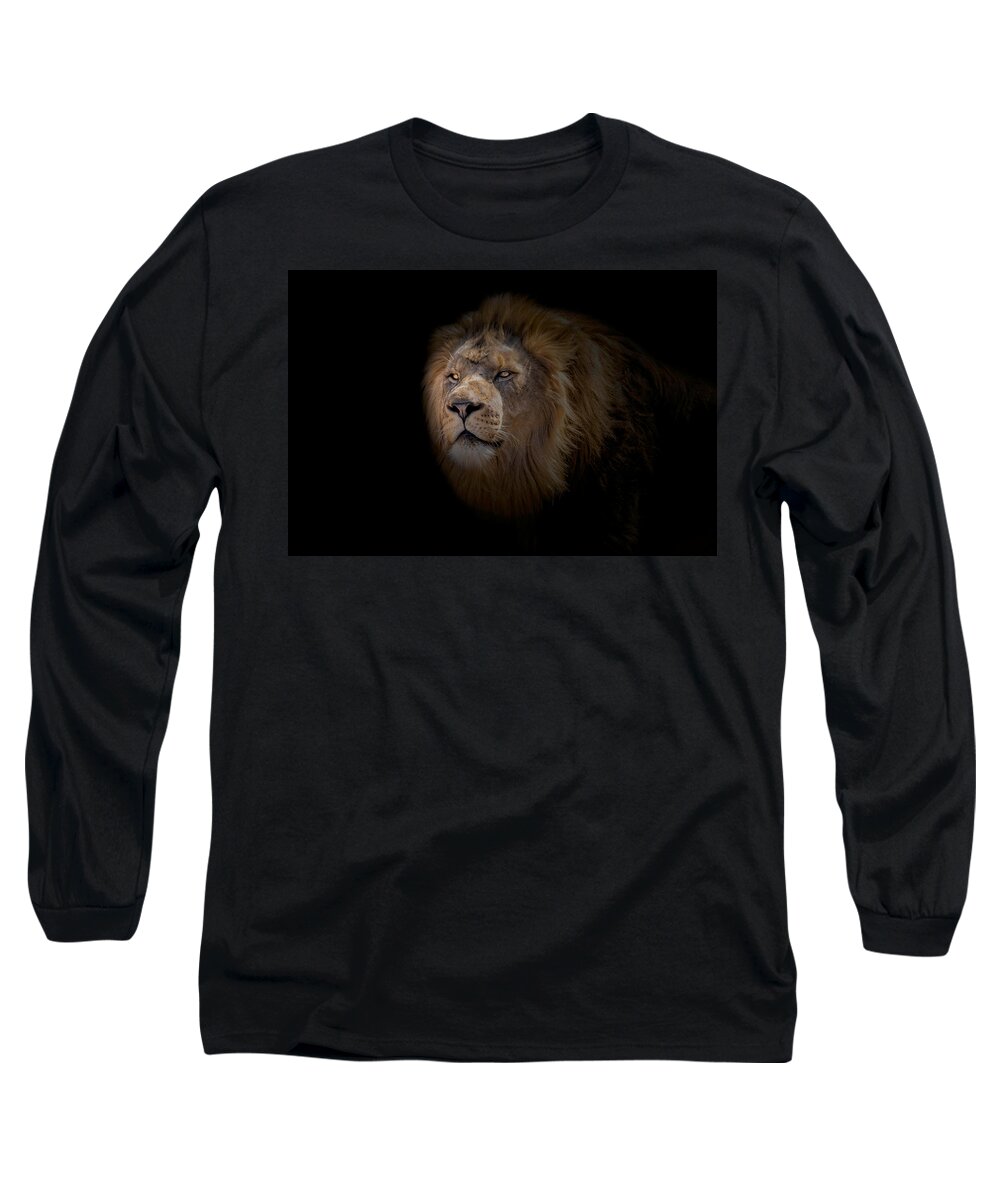 Africa Long Sleeve T-Shirt featuring the photograph African Lion #2 by Peter Lakomy