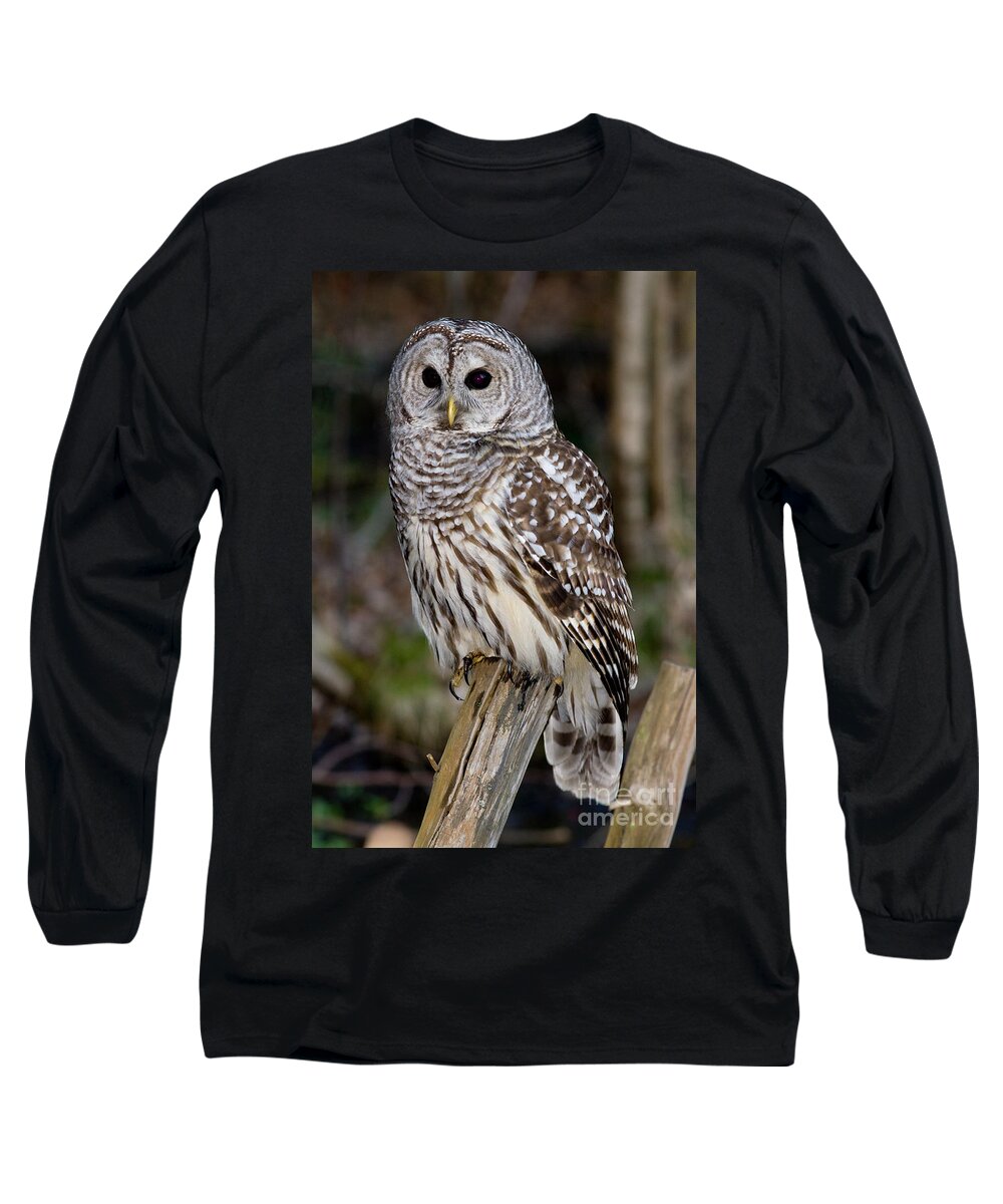Animal Long Sleeve T-Shirt featuring the photograph Barred Owl #2 by Les Palenik