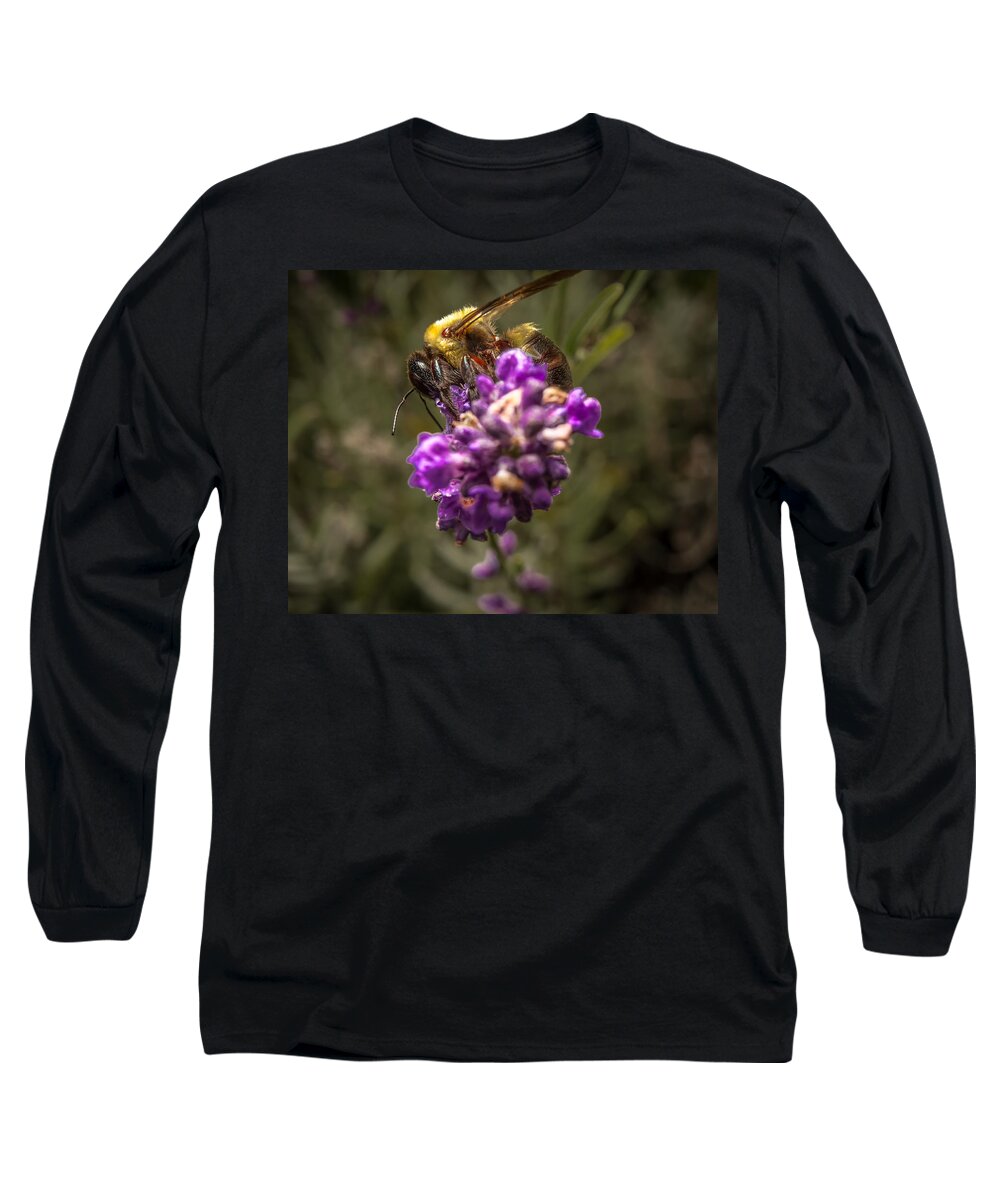 Flower Long Sleeve T-Shirt featuring the photograph Carpenter Bee on a Lavender Spike #2 by Ron Pate