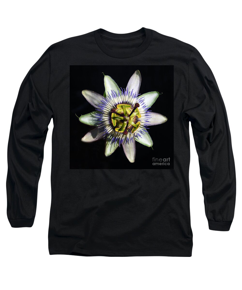 Passion Flower Long Sleeve T-Shirt featuring the photograph Passion Flower #1 by Debra Thompson