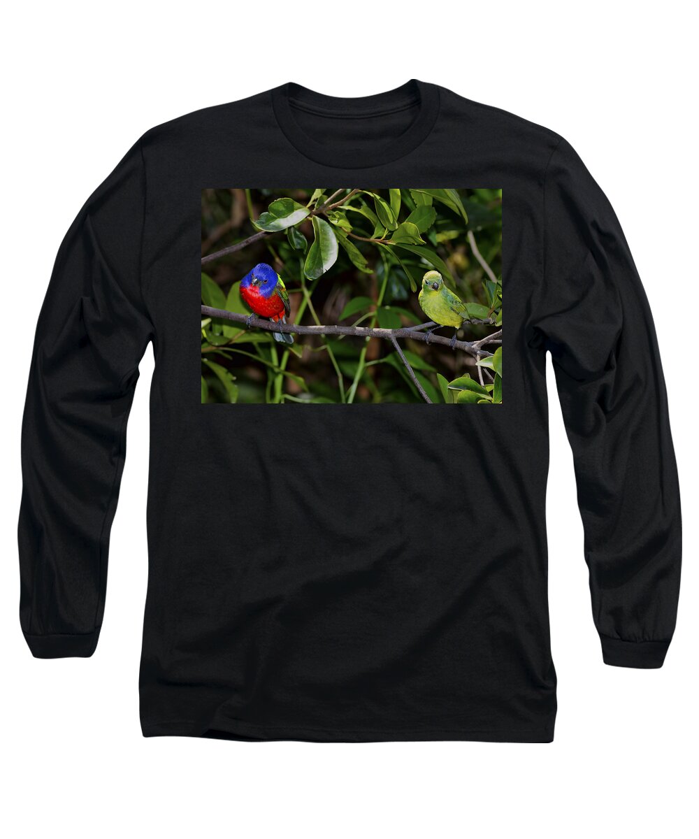 Dodsworth Long Sleeve T-Shirt featuring the photograph Together #2 by Bill Dodsworth