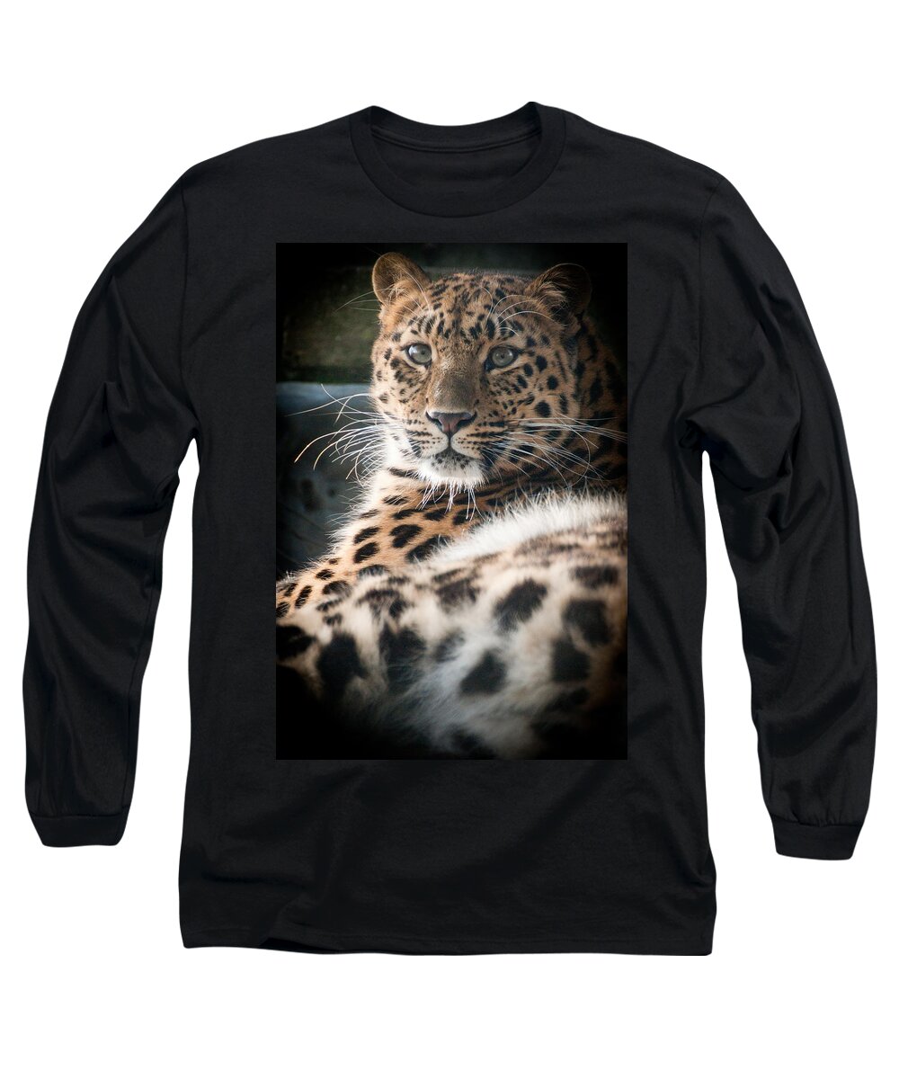 Animal Long Sleeve T-Shirt featuring the photograph Amur Leopard #3 by Chris Boulton