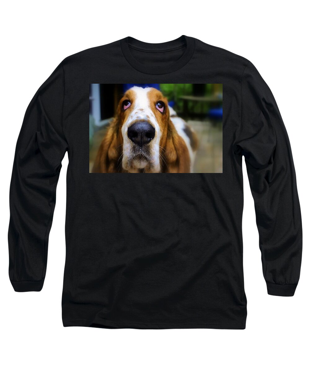 Dog Long Sleeve T-Shirt featuring the photograph Basset Hound Mr. Moose by Marysue Ryan