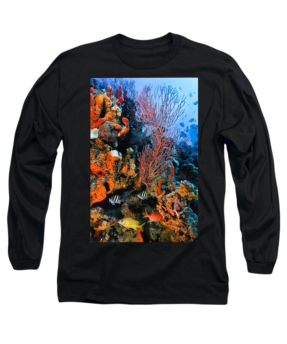 Angle Long Sleeve T-Shirt featuring the photograph A Colorful Ledge by Sandra Edwards