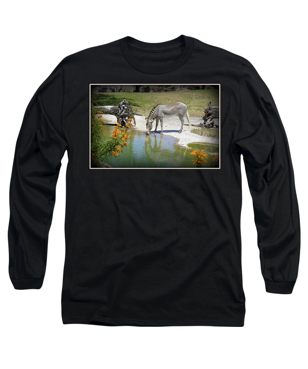 Zebra Long Sleeve T-Shirt featuring the photograph African Queen by Laurie Perry