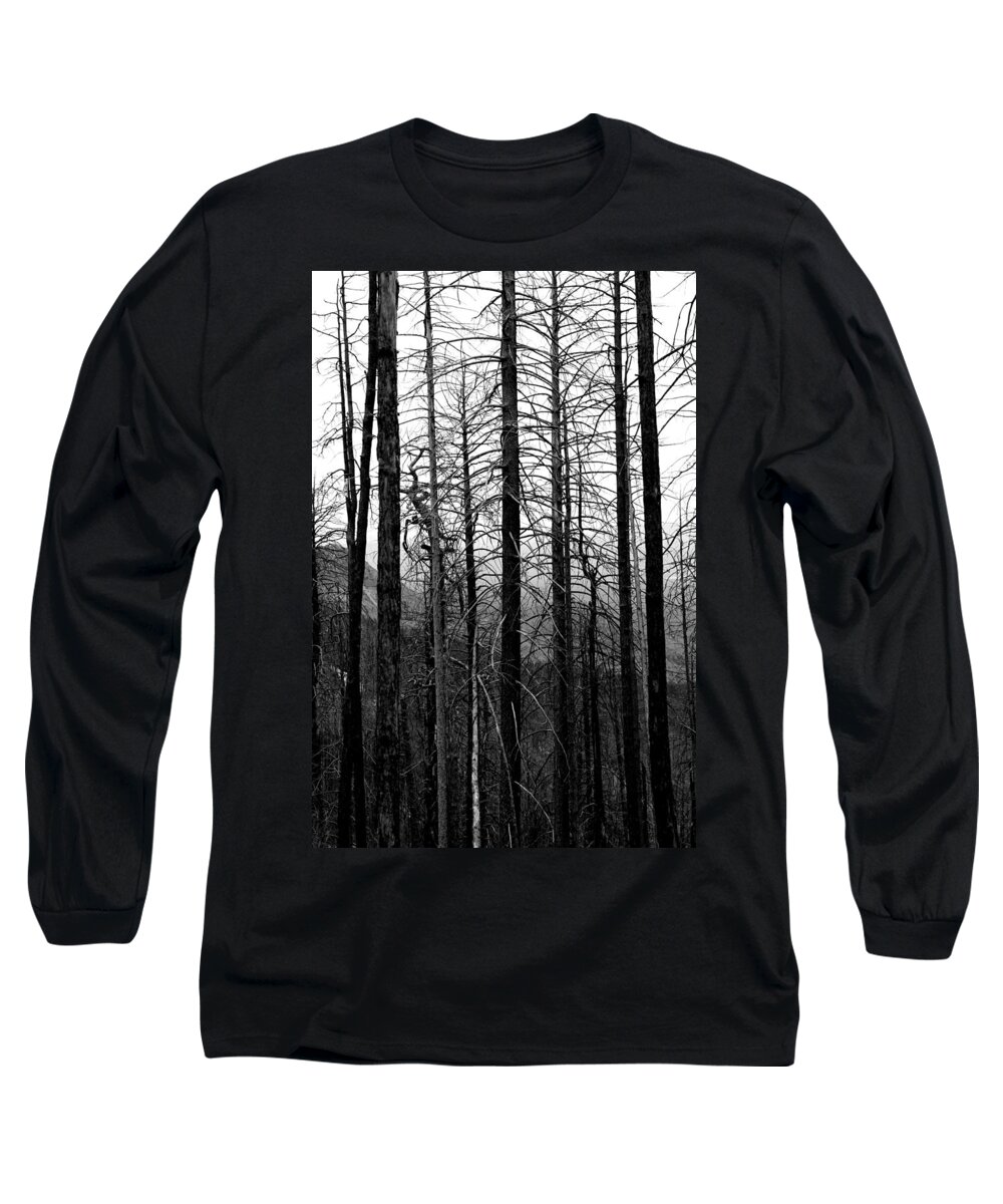 Trees Long Sleeve T-Shirt featuring the photograph After the Fire by Joe Kozlowski