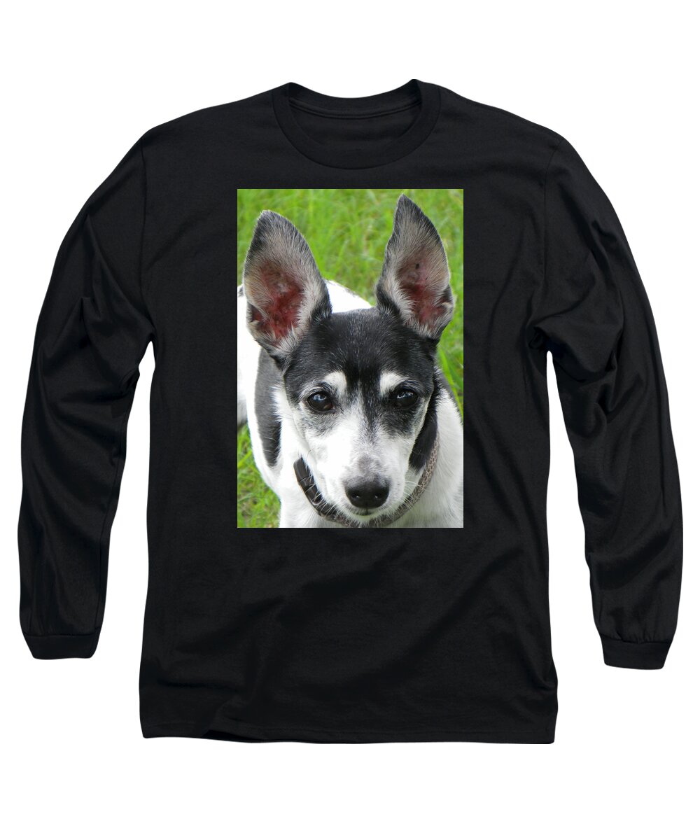 Dog Long Sleeve T-Shirt featuring the photograph All Ears by Rosalie Scanlon