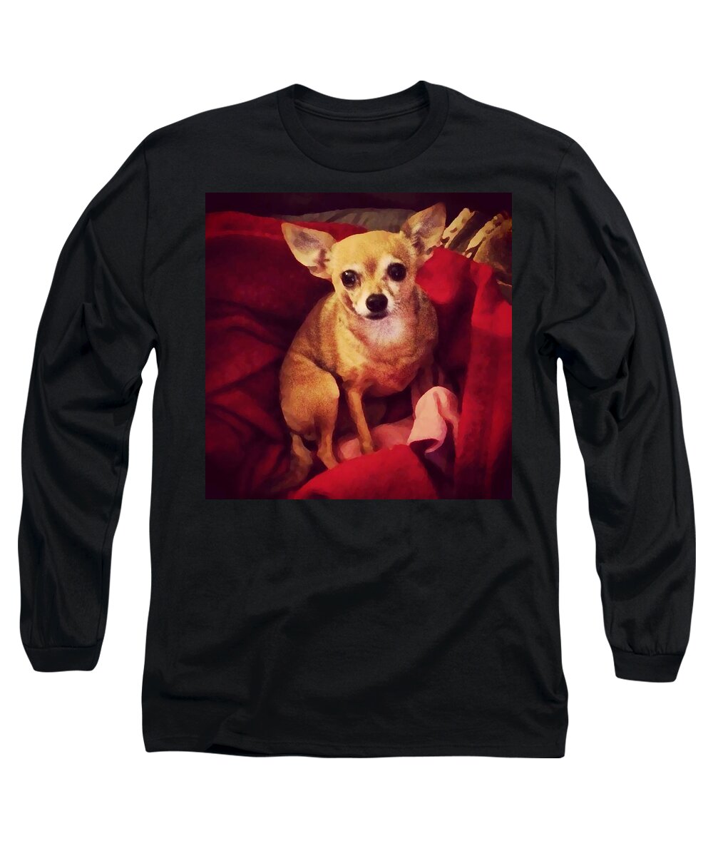 Chihuahua Long Sleeve T-Shirt featuring the photograph Angel Eyes by Lisa Piper