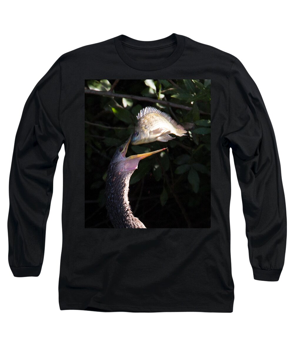 Anhinga Long Sleeve T-Shirt featuring the photograph Anhinga Catch by Richard Goldman