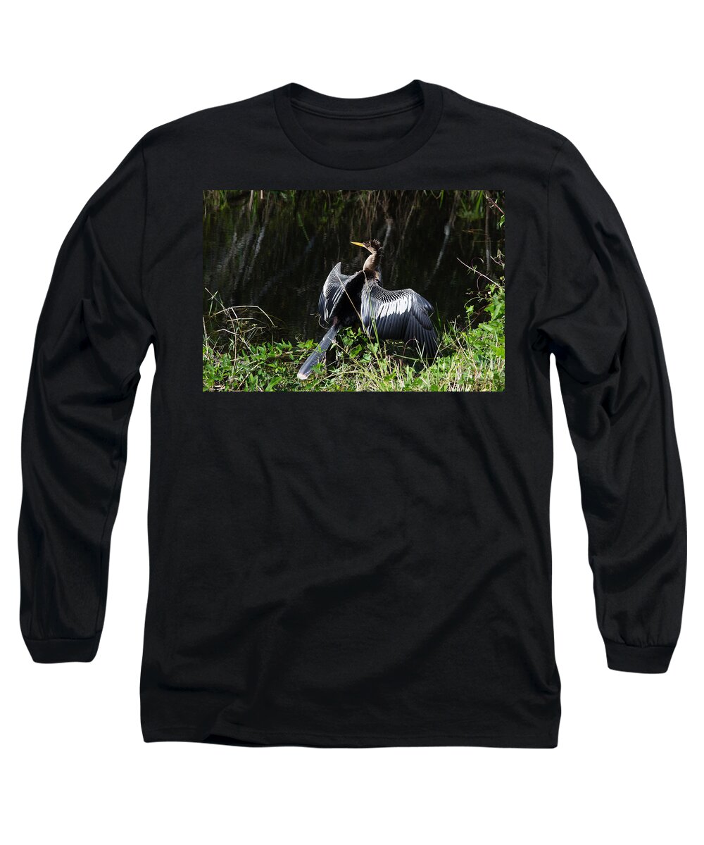 Everglades Long Sleeve T-Shirt featuring the photograph Anhinga resting by Agnes Caruso
