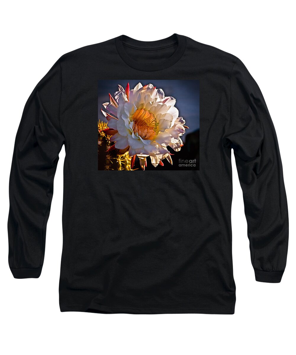 Arizona Long Sleeve T-Shirt featuring the photograph Argentine Giant II by Robert Bales