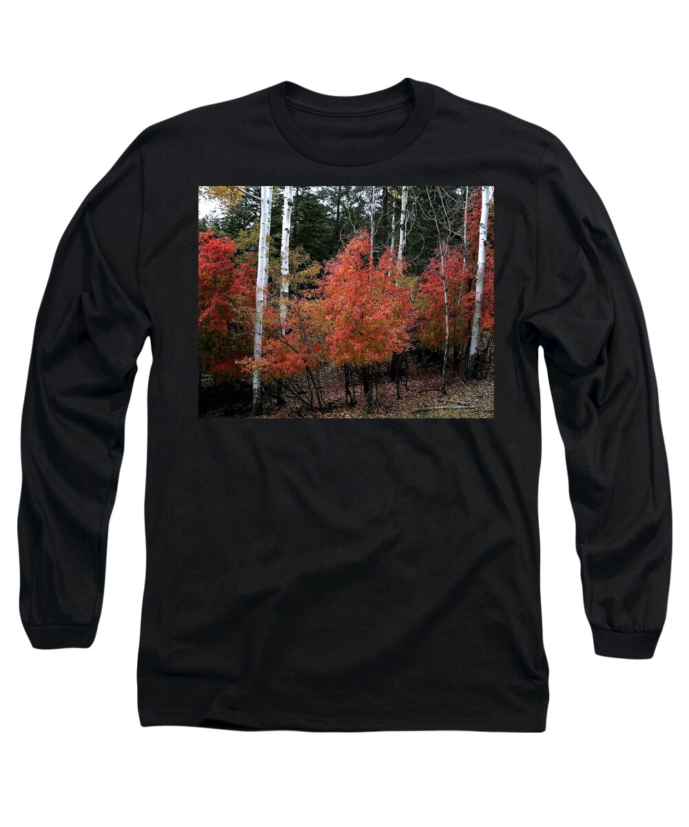 Landscape Long Sleeve T-Shirt featuring the photograph Aspen Glory by Matalyn Gardner