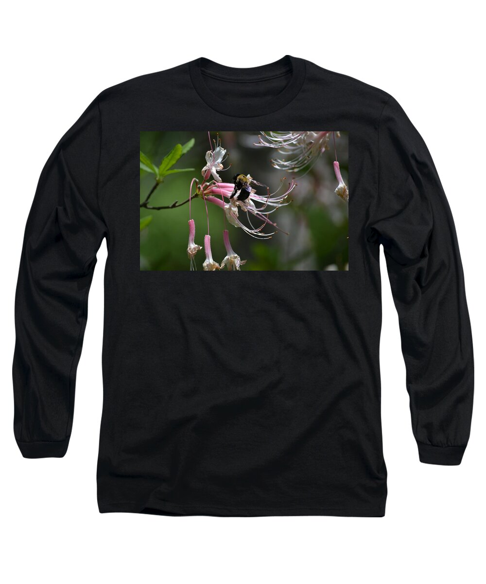 Busy Long Sleeve T-Shirt featuring the photograph At Work by Tara Potts