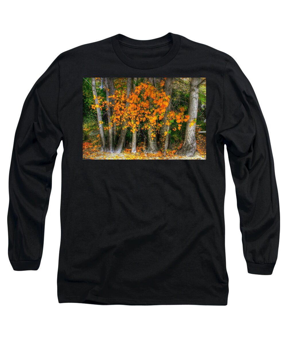 Colourful Long Sleeve T-Shirt featuring the photograph Autumn breakout no.2 by Jenny Setchell