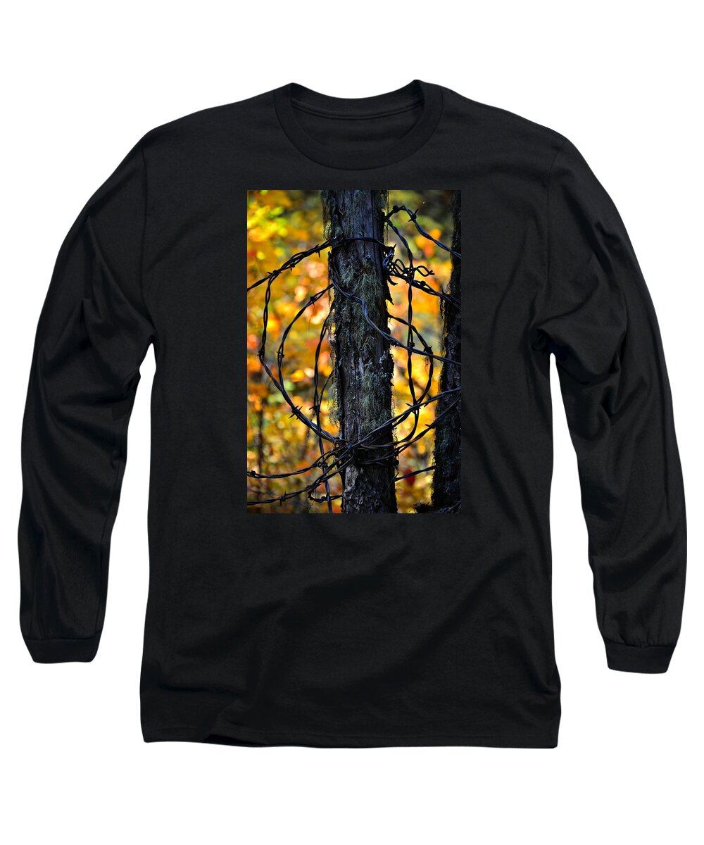 Abstract Long Sleeve T-Shirt featuring the photograph Autumn Colors 1 by Newel Hunter