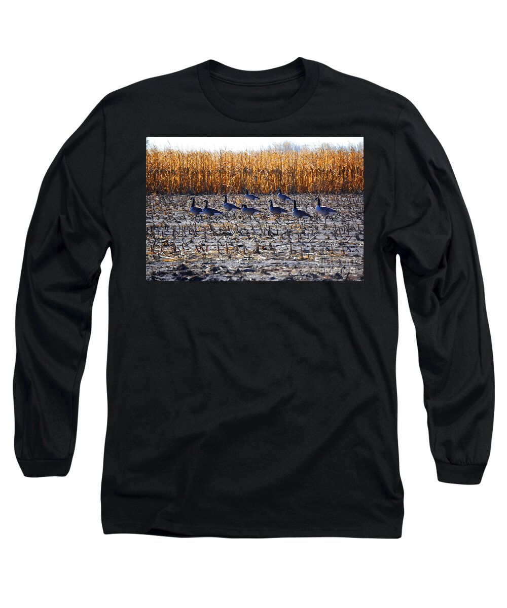 First Star Art Long Sleeve T-Shirt featuring the photograph Autumn Geometry by jrr by First Star Art