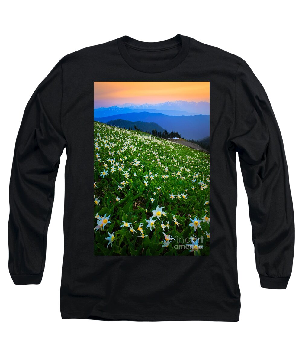 America Long Sleeve T-Shirt featuring the photograph Avalanche Lily Field by Inge Johnsson