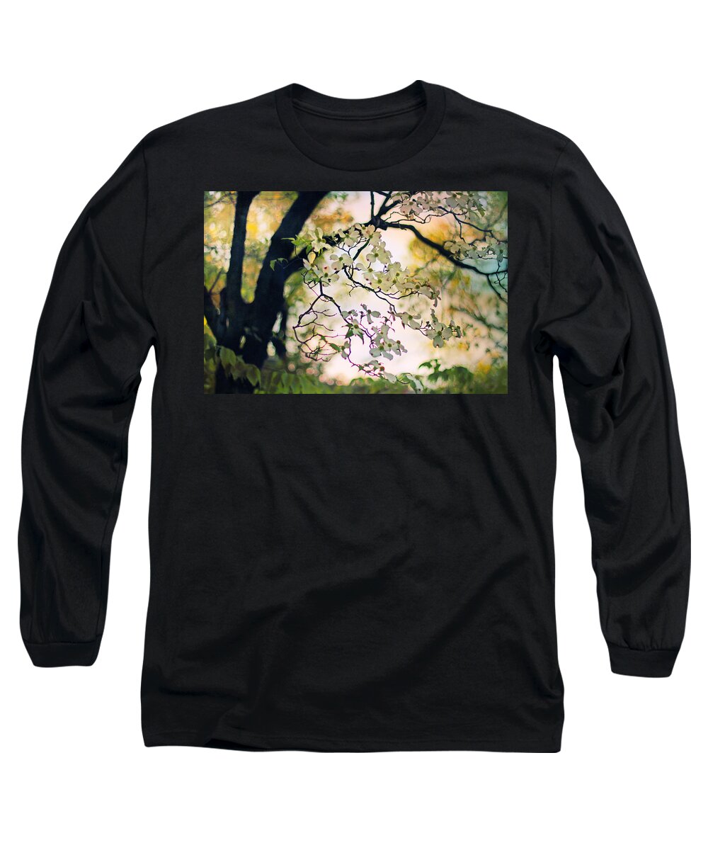 Dogwood Long Sleeve T-Shirt featuring the photograph Backlit Blossom by Jessica Jenney