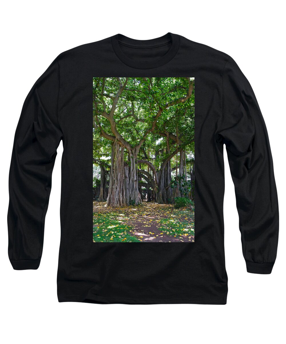 Banyan Tree Long Sleeve T-Shirt featuring the photograph Banyan Tree At Honolulu Zoo by Michele Myers