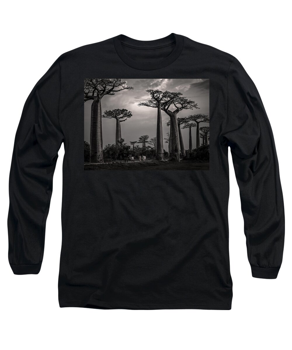 Baobab Long Sleeve T-Shirt featuring the photograph Baobab Highway by Linda Villers