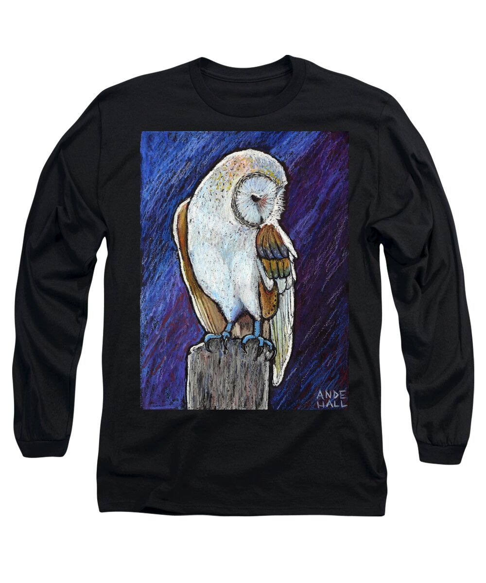 Barn Owl Long Sleeve T-Shirt featuring the painting Barn Owl by Ande Hall
