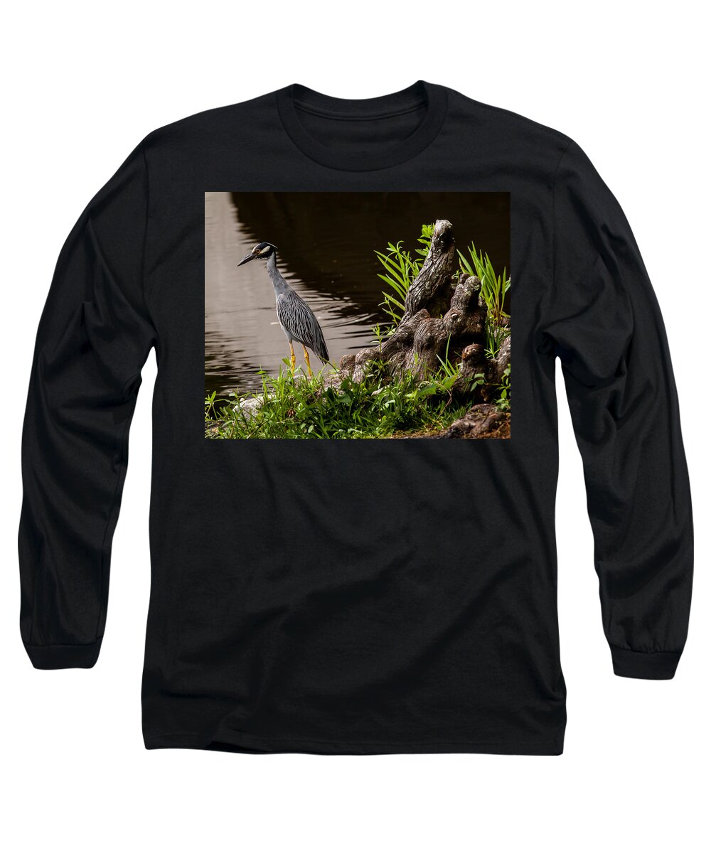 New Orleans Long Sleeve T-Shirt featuring the photograph Bayou Bird by Melinda Ledsome