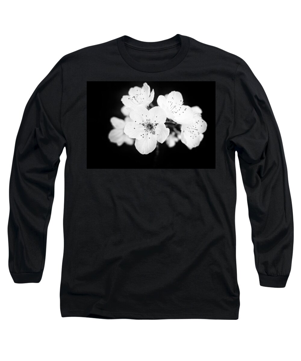 Apple Blossom Long Sleeve T-Shirt featuring the photograph Beautiful blossoms in black and white by Matthias Hauser