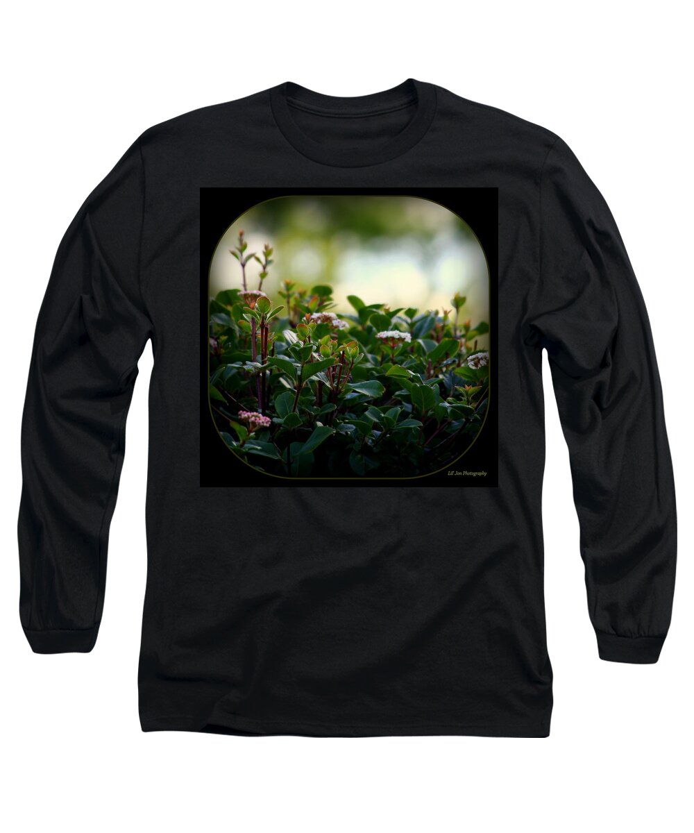 Beauty In Agony Long Sleeve T-Shirt featuring the photograph Beauty In Agony by Jeanette C Landstrom