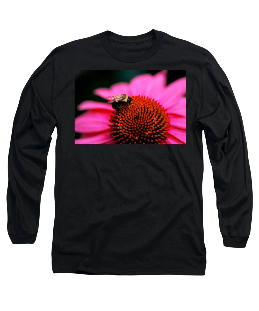 Floral Long Sleeve T-Shirt featuring the photograph Bee on flower by Matt Swinden