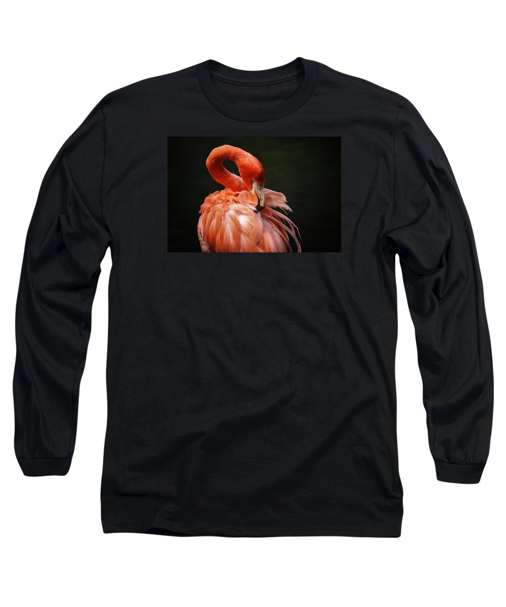 Flamingo Long Sleeve T-Shirt featuring the photograph Big Bird by Karol Livote