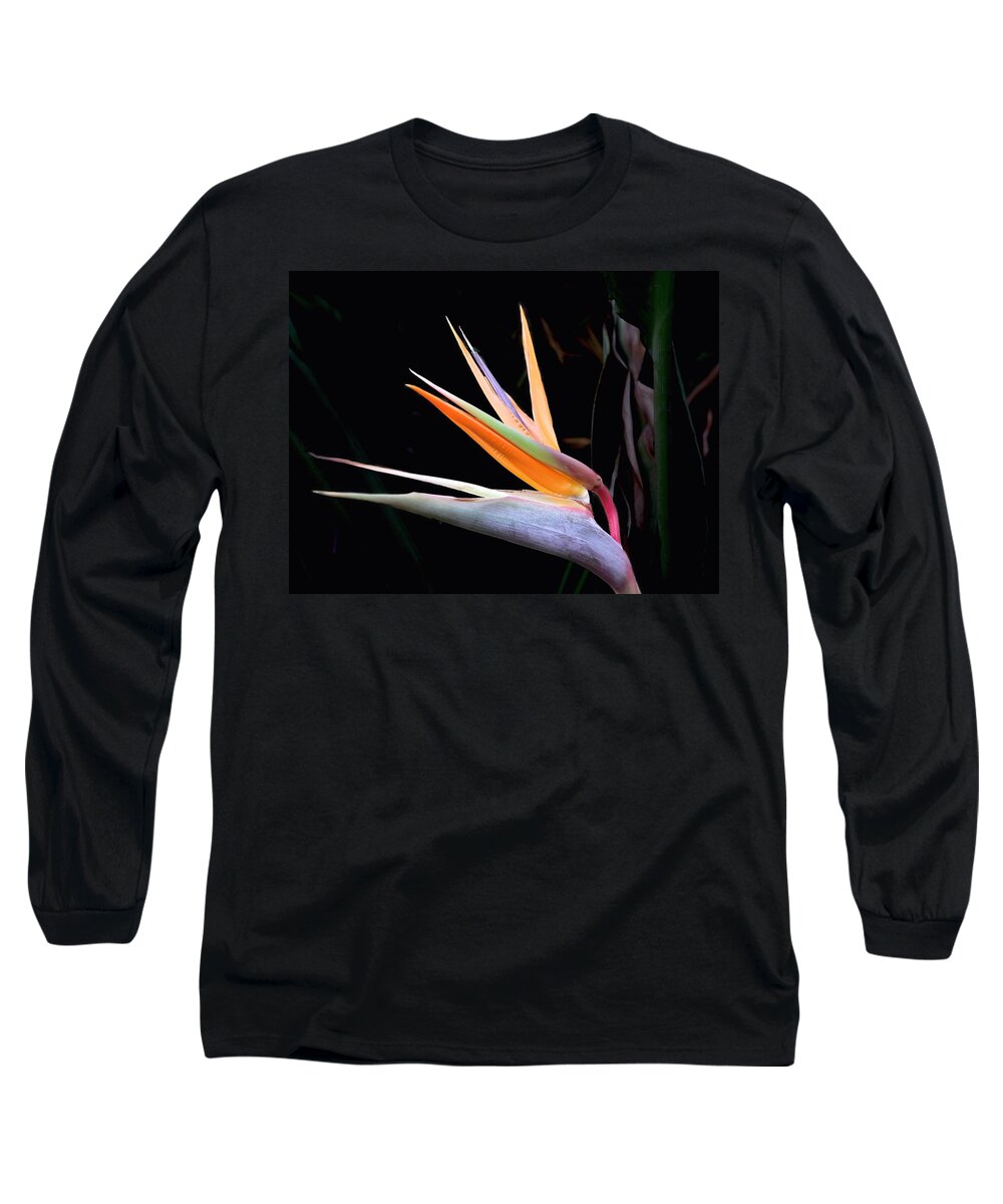 Bird Of Paradise Long Sleeve T-Shirt featuring the photograph Bird of Paradise by Steve Ondrus