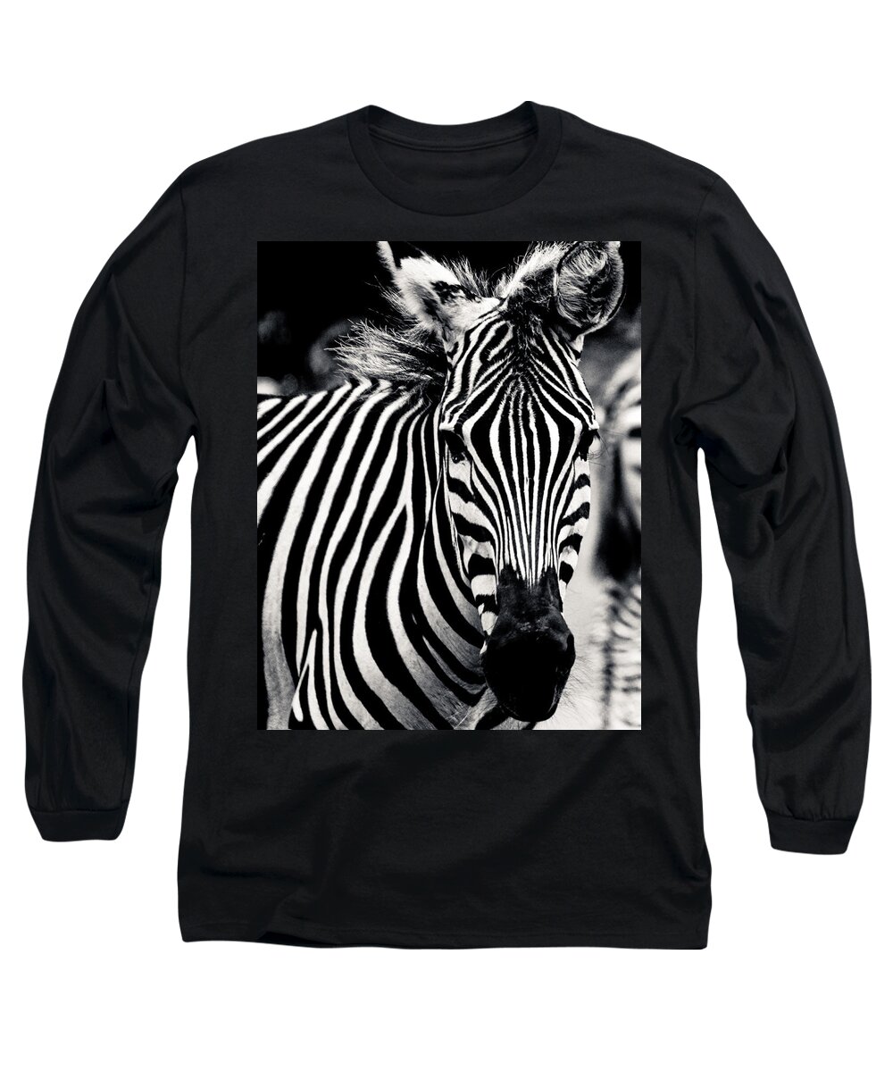 Zebra Long Sleeve T-Shirt featuring the photograph Black and white Zebra Portrait by Maggy Marsh