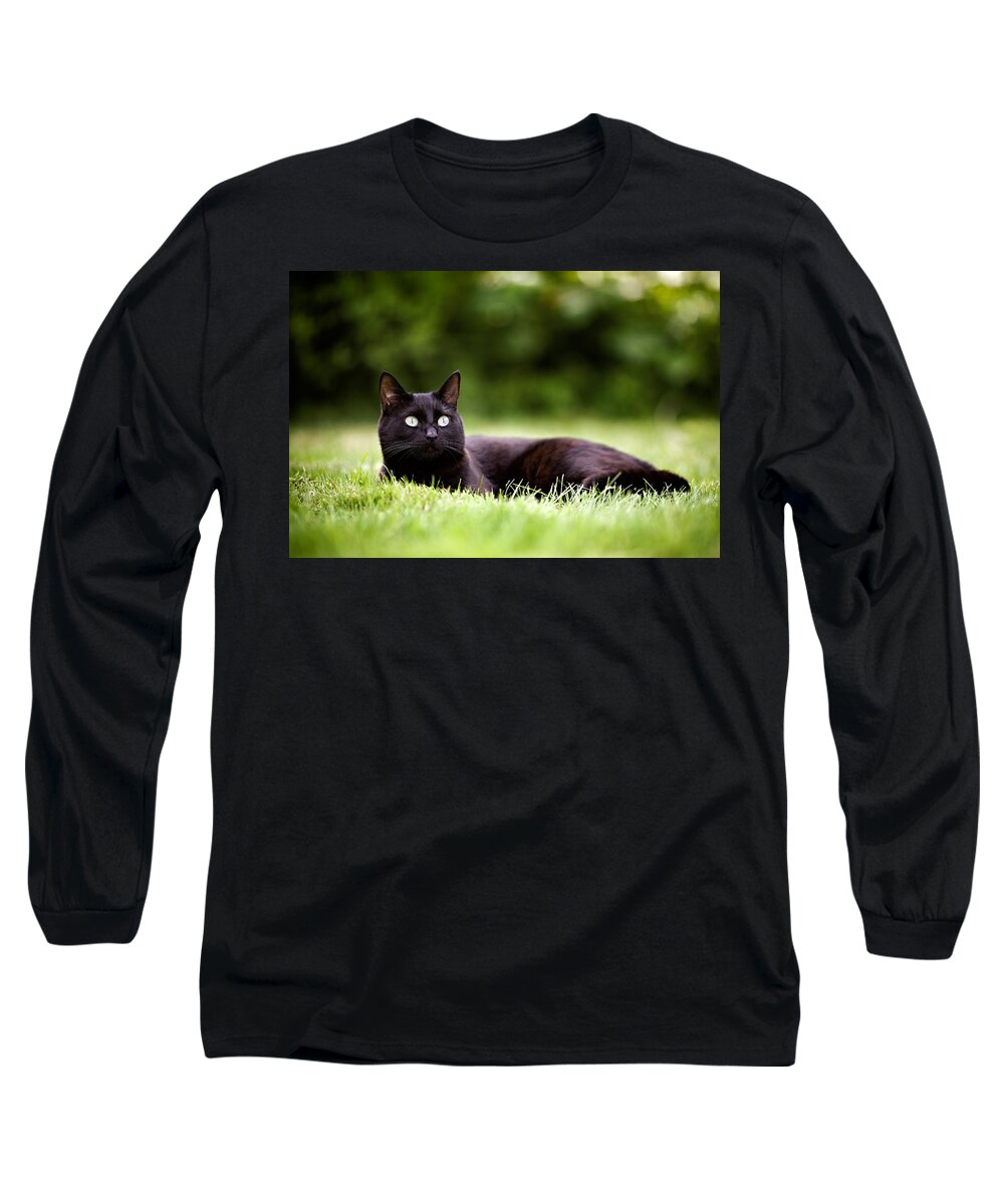 Cat Long Sleeve T-Shirt featuring the photograph Black Cat Lying in Garden by Ian Good