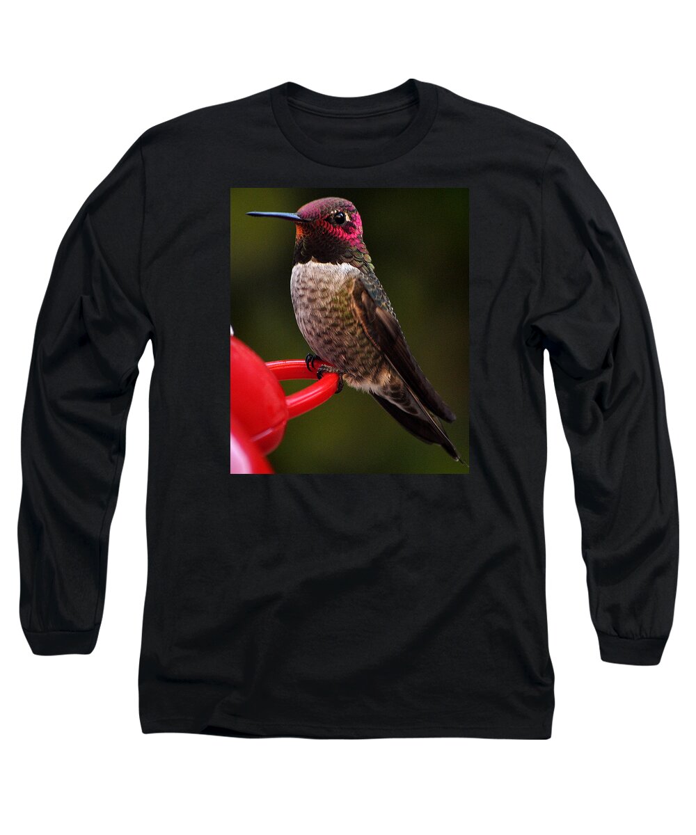 Black Chinned Long Sleeve T-Shirt featuring the photograph Black Chinned Male Hummingbird by Jay Milo