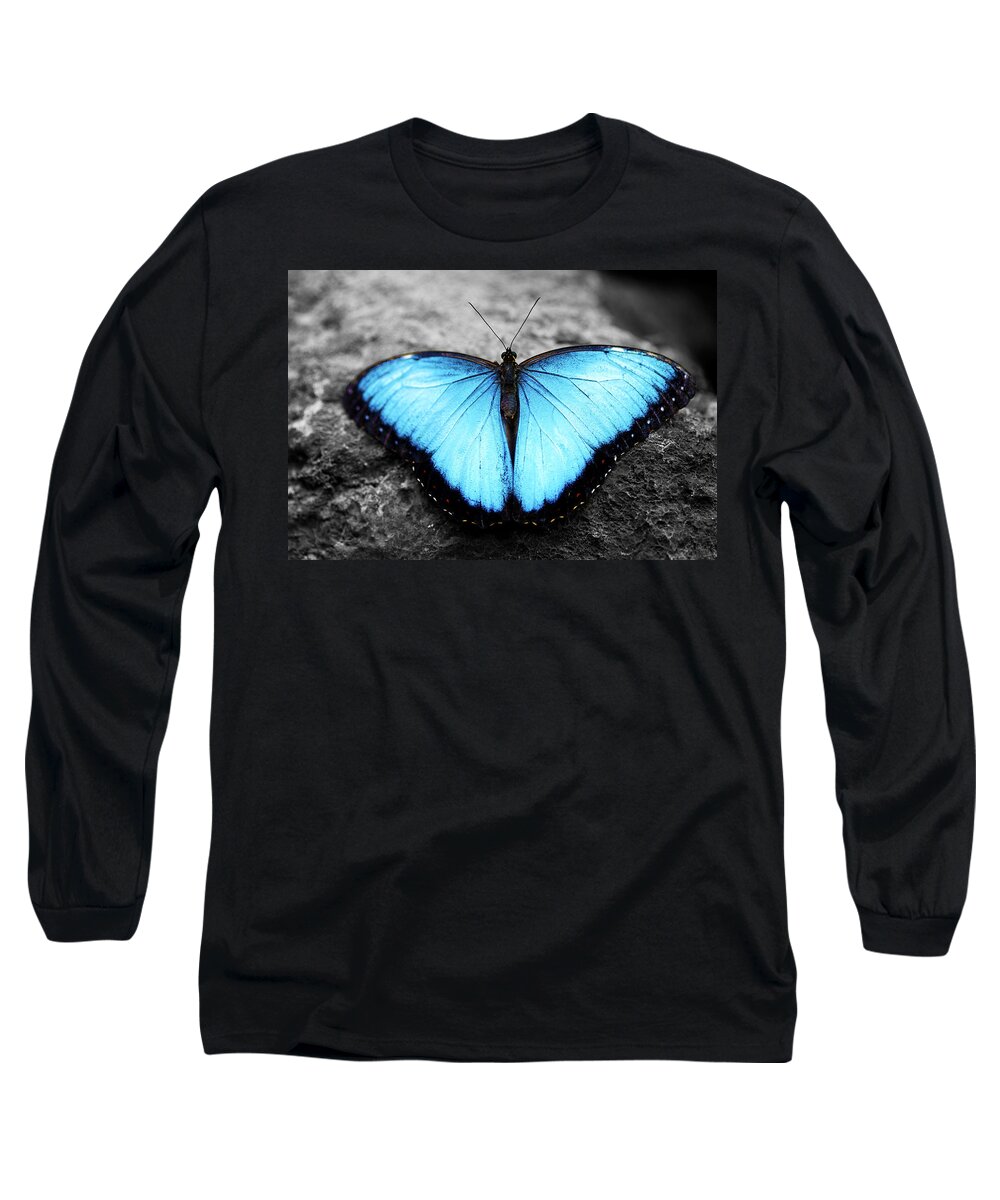 Blue Butterfly Long Sleeve T-Shirt featuring the photograph Blue angel butterfly 2 by Sumit Mehndiratta