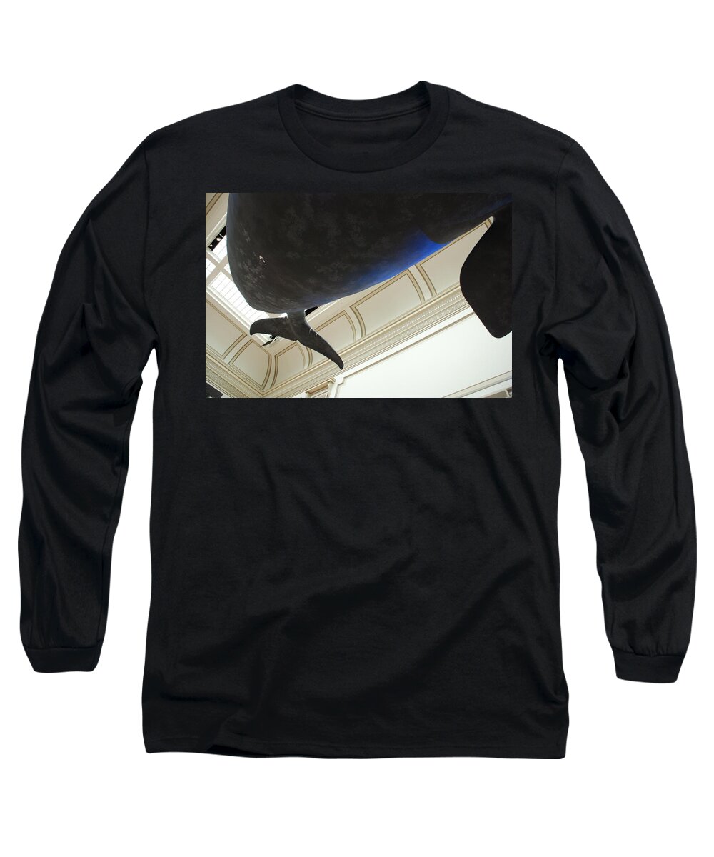 Blue Whale Long Sleeve T-Shirt featuring the photograph Blue Whale Experience by Kenny Glover