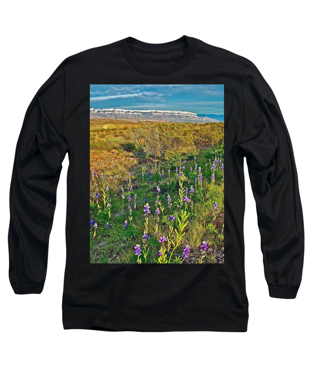 Bluebonnets And Creosote Bushes In Big Bend National Park Long Sleeve T-Shirt featuring the photograph Bluebonnets and Creosote Bushes in Big Bend National Park-Texas by Ruth Hager