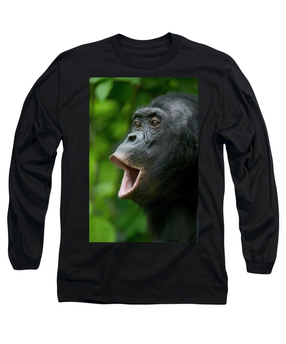 Jh Long Sleeve T-Shirt featuring the photograph Bonobo Female Calling by Cyril Ruoso