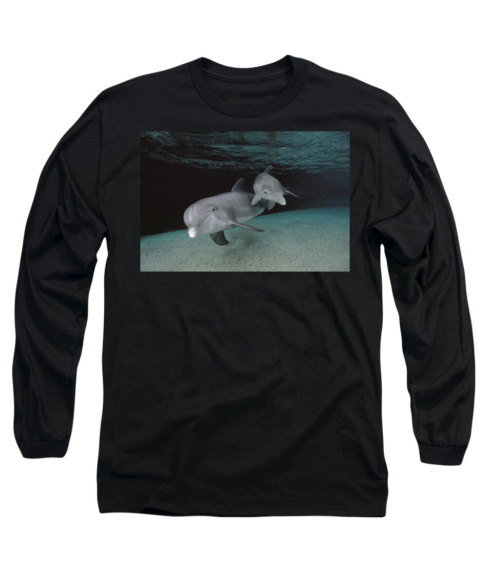Feb0514 Long Sleeve T-Shirt featuring the photograph Bottlenose Dolphin Mother And Baby by Flip Nicklin