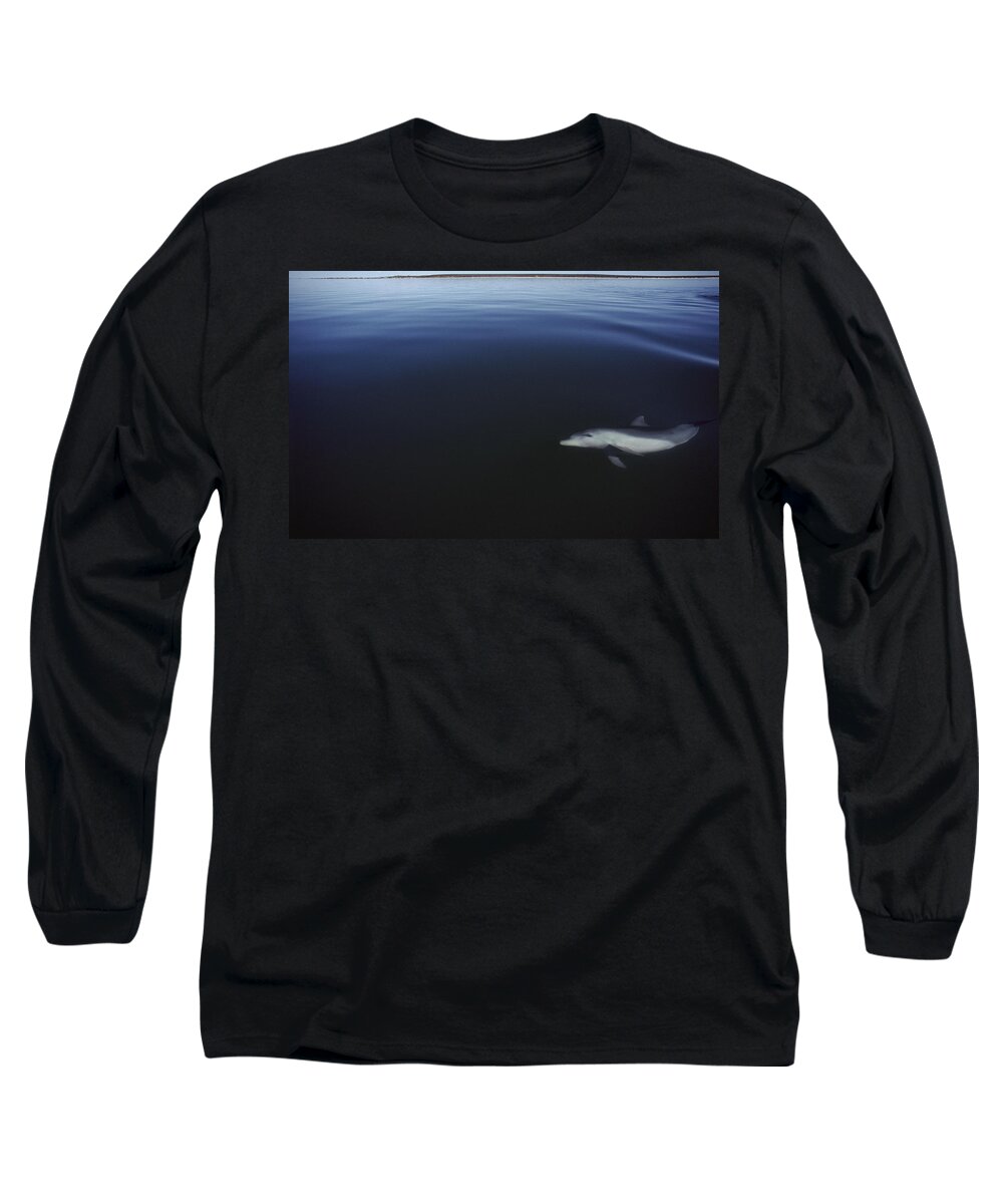 Feb0514 Long Sleeve T-Shirt featuring the photograph Bottlenose Dolphin Swimming Australia by Flip Nicklin