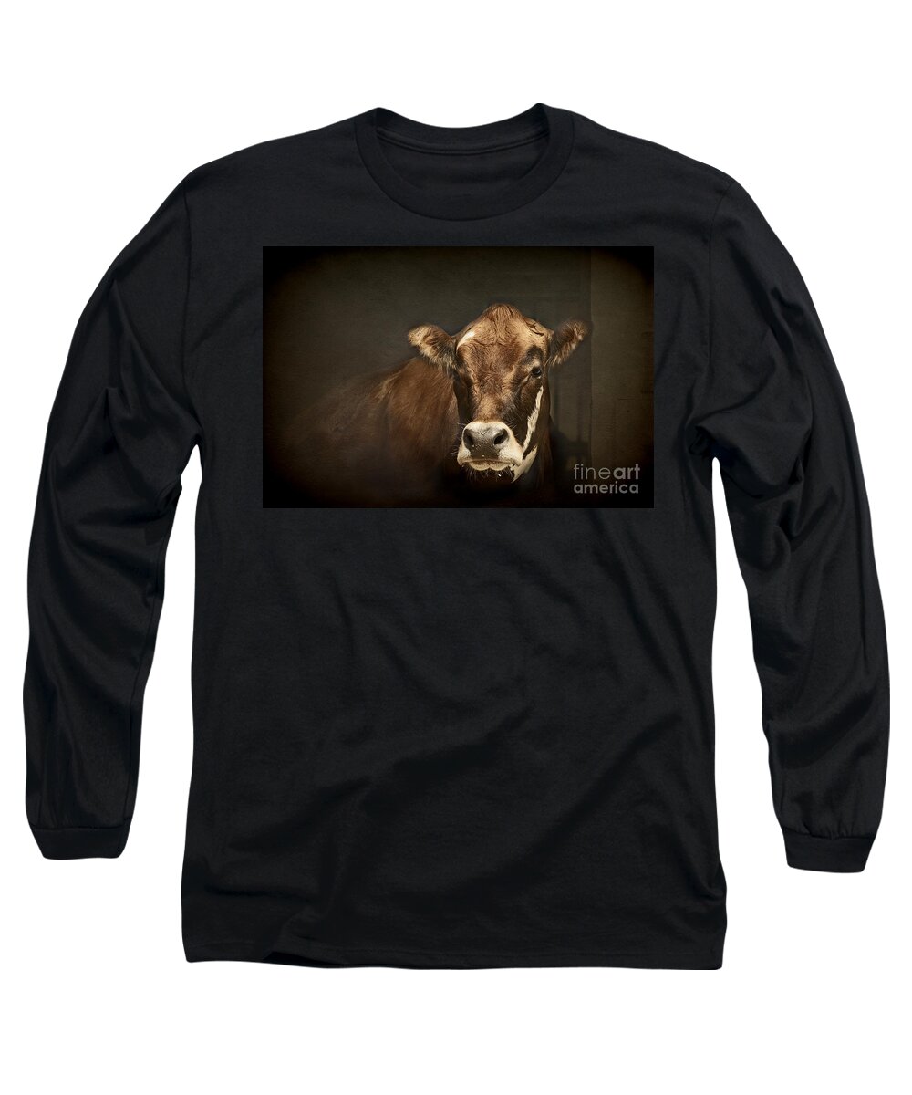 Brown Canvas Prints Long Sleeve T-Shirt featuring the photograph Buddy by Aimelle Ml