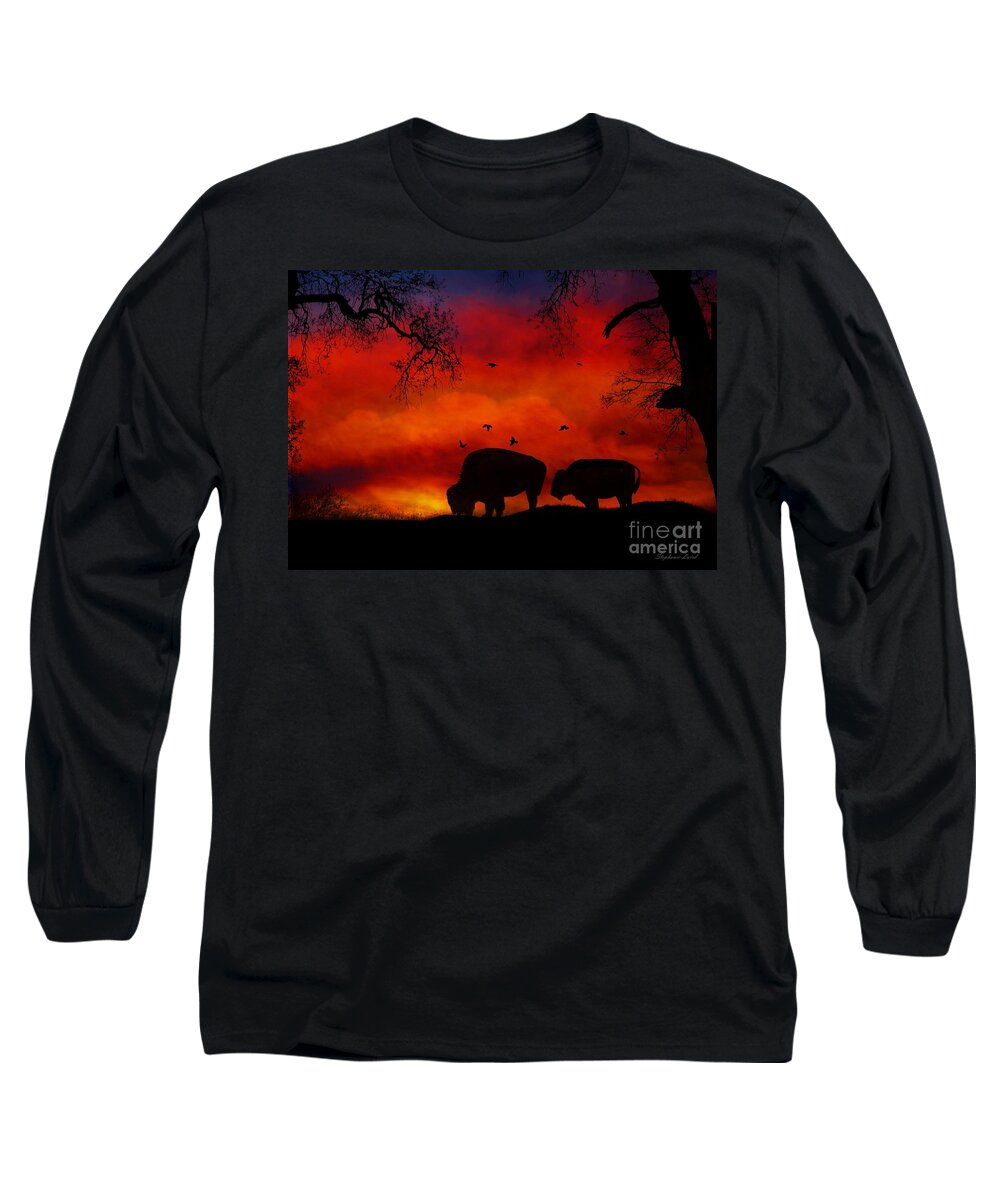 Buffalo Long Sleeve T-Shirt featuring the photograph Buffalo Sunset by Stephanie Laird