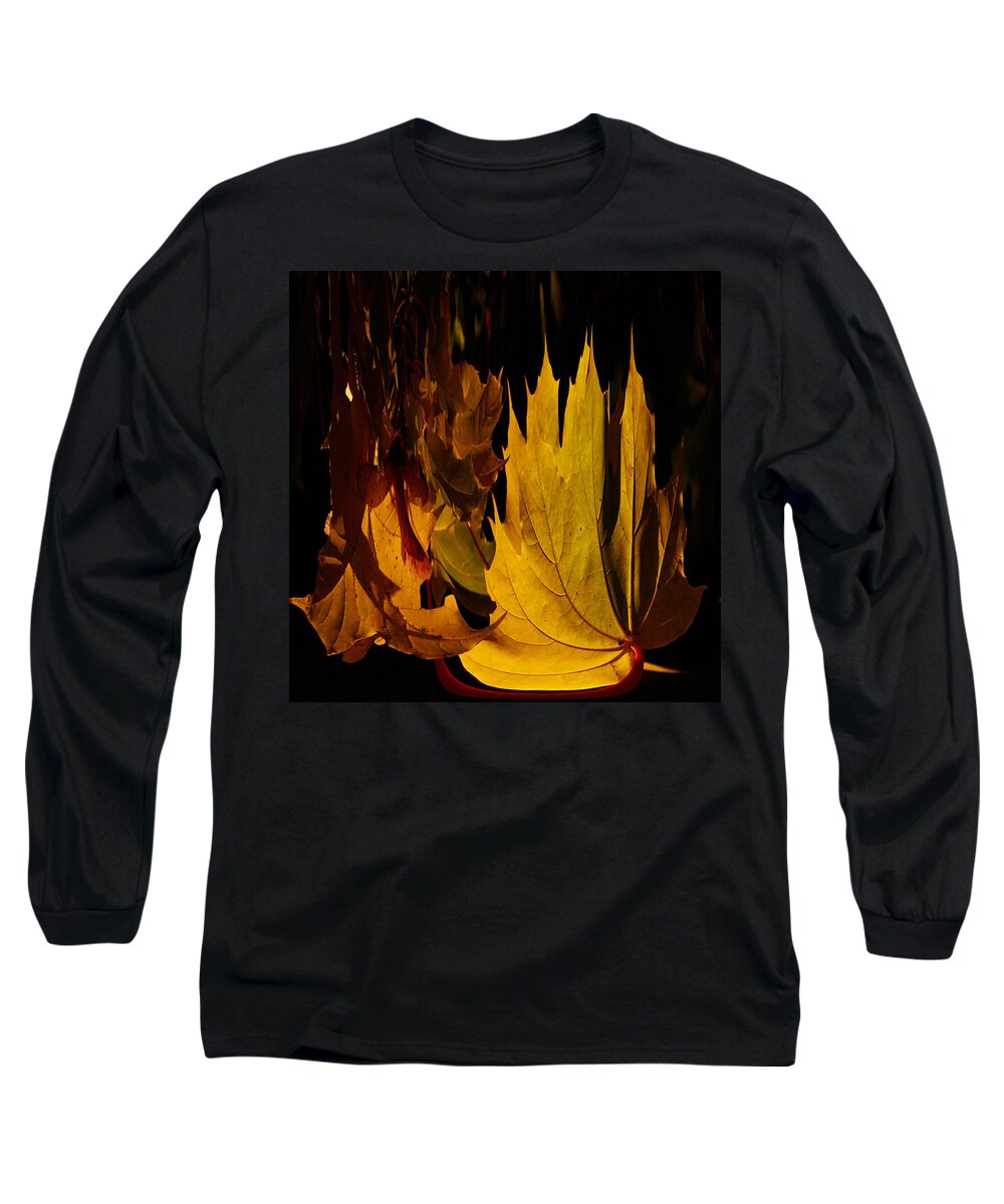 Lehto Long Sleeve T-Shirt featuring the photograph Burning Fall by Jouko Lehto