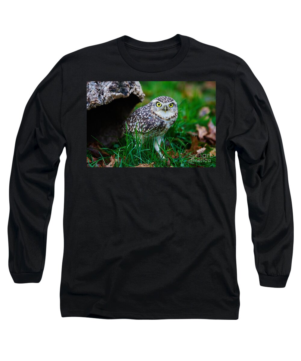 Closeup Long Sleeve T-Shirt featuring the photograph Burrowing Owl by Nick Biemans