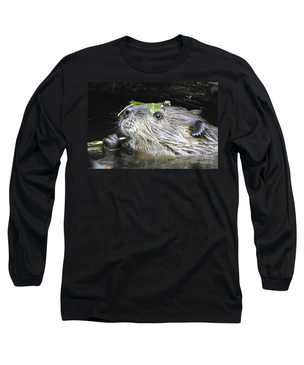 Beaver Long Sleeve T-Shirt featuring the photograph Busy Beaver by Gary Beeler