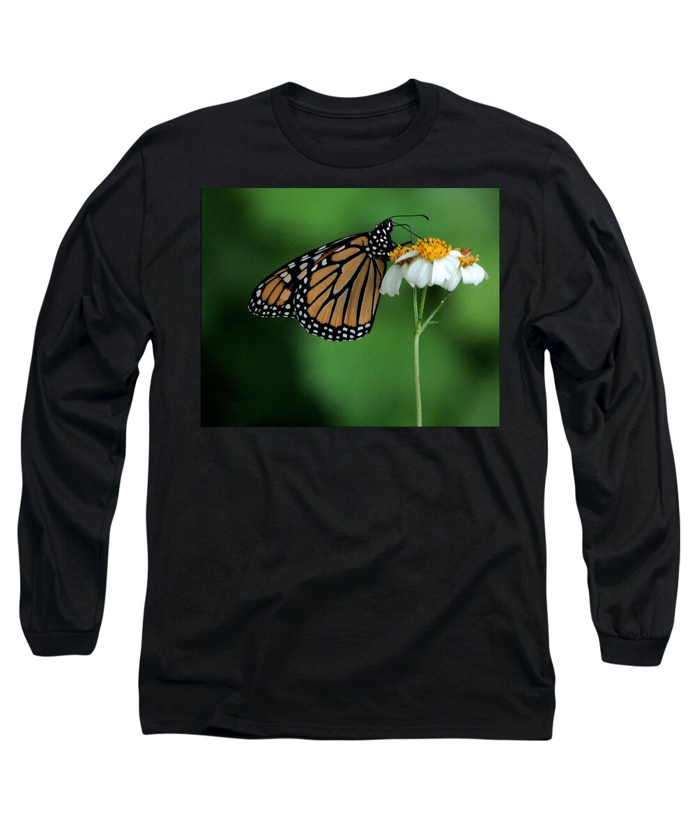 Flower Long Sleeve T-Shirt featuring the photograph Butterfly 3 by Leticia Latocki
