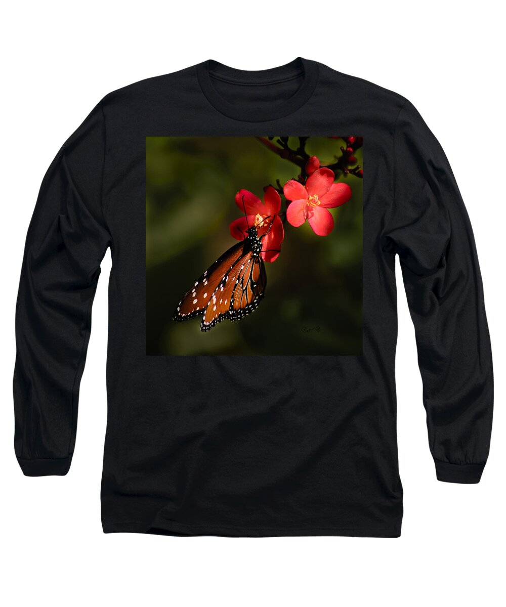Butterfly Long Sleeve T-Shirt featuring the photograph Butterfly on Red Blossom by Penny Lisowski