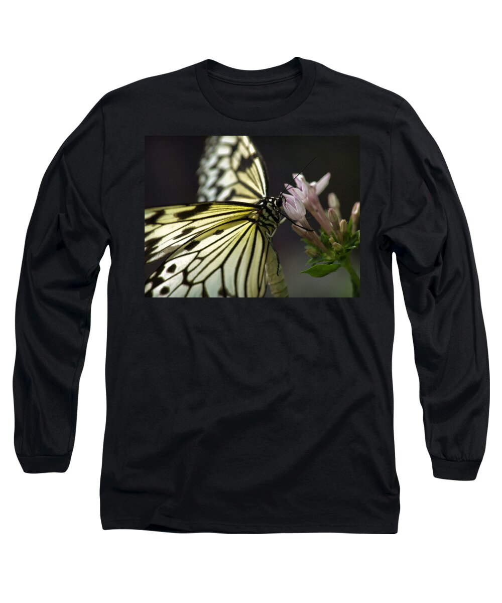 Butterfly Nature Flower Background Insect Beauty Spring Abstract Green Floral Illustration Plant Summer Leaf Vector Design Color Art Animal Wing Tree Black Fly Love Garden Beautiful Silhouette Decoration White Grunge Long Sleeve T-Shirt featuring the photograph Butteryfly by John Swartz